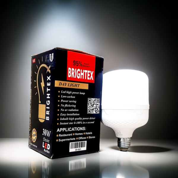 30W LED Bulb